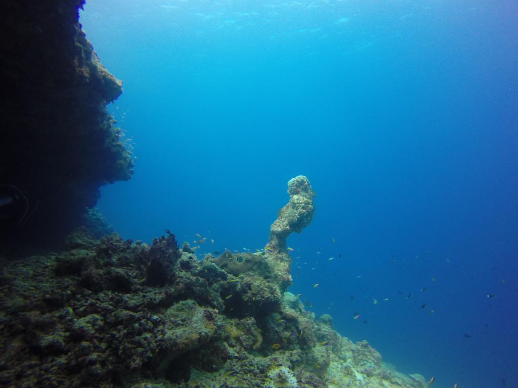 Chill Holidays Maldives 马米基里 外观 照片